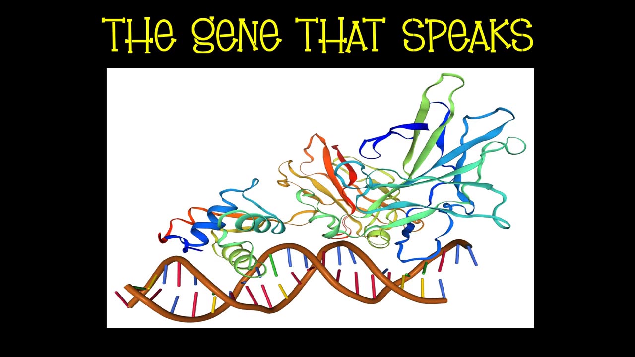 The Gene That Speaks: Unraveling the Mystery of FOXP2