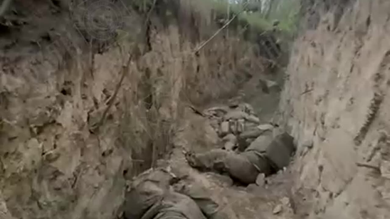 War in ukraine