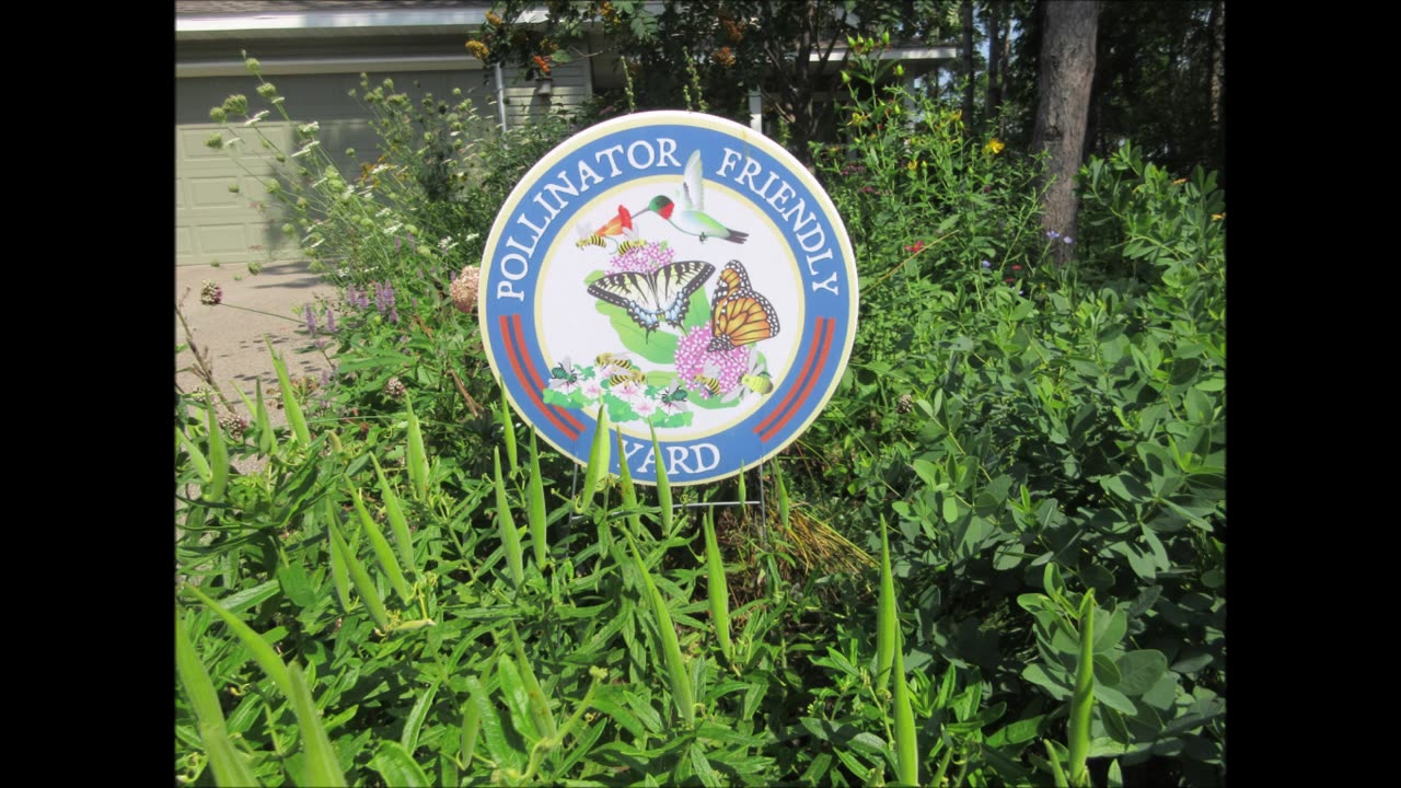 Strengthen Oneʼs Inner Spiritual Power Milkweed July 2022