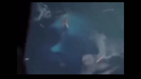 #top secret file # mystery things happend in the sea