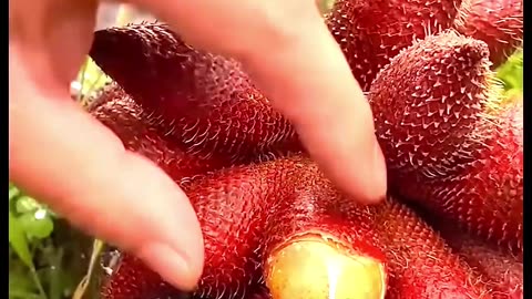 Some Satisfying Fruits