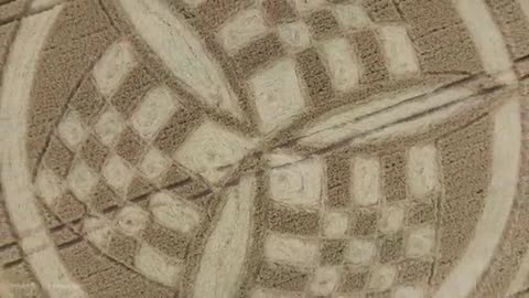 Crop Circle | Barton Stacey Belt, près de South Wonston, Hampshire | 09/07/23