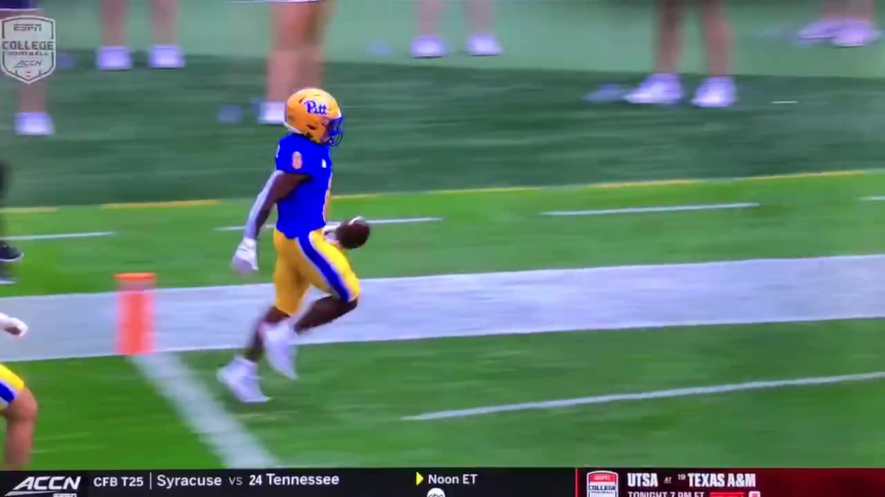 Panthers #0 Desmond Reed w/88 yrd Punt Return