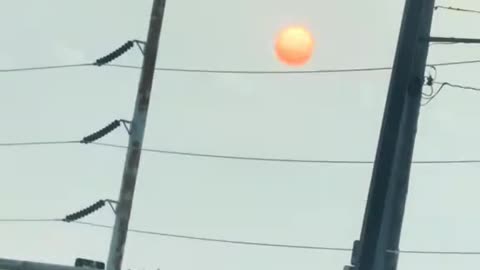 Viral