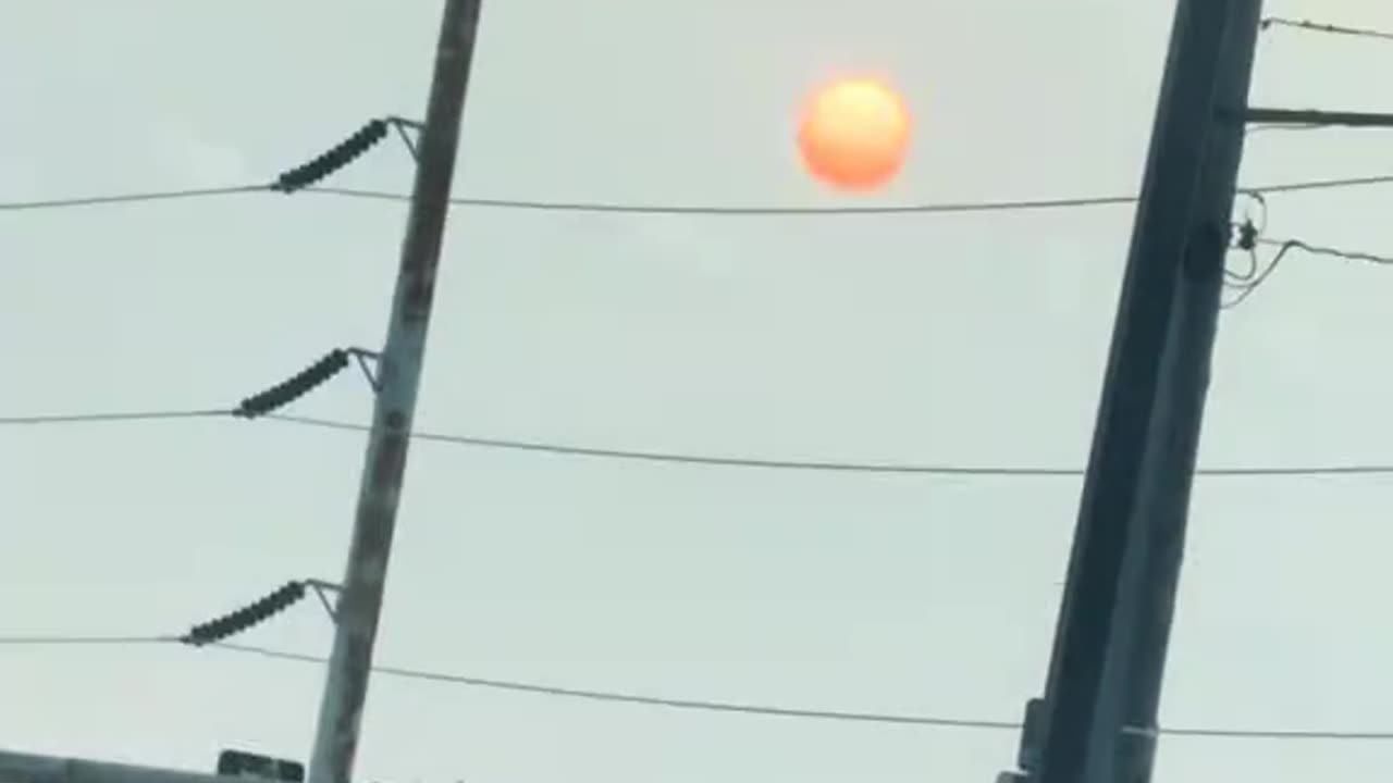 Viral