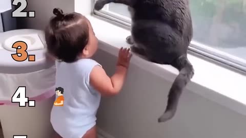 Ranking Best Cats Speaking English Moments
