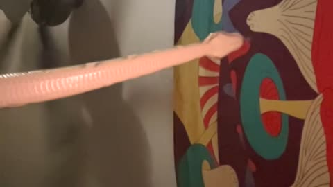 Silly Snake Tries to Get a Better Signal