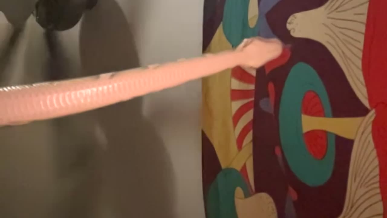 Silly Snake Tries to Get a Better Signal