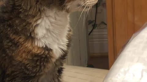 😨🔍 Things Aren't as They Appear... *Sound On* | TheHauntingHour