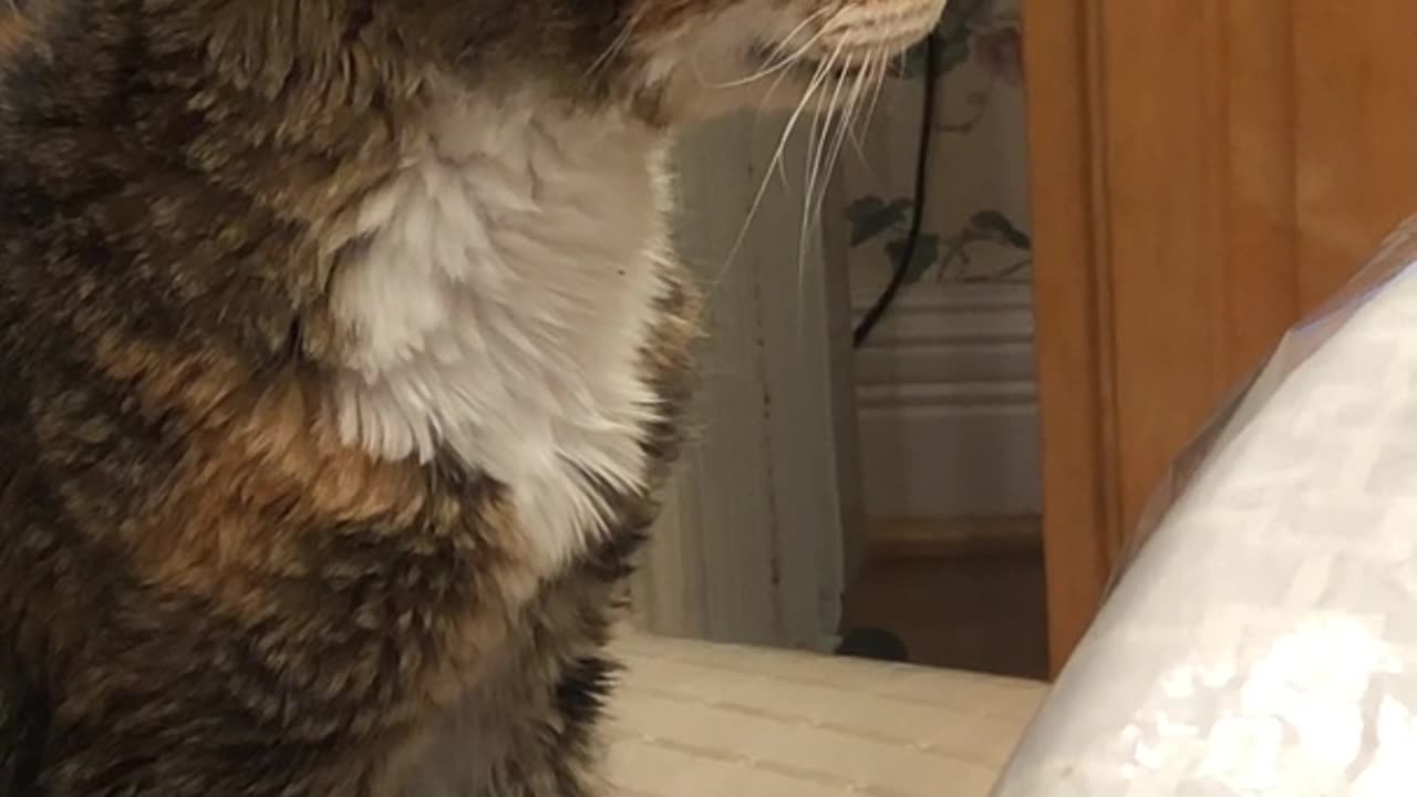 😨🔍 Things Aren't as They Appear... *Sound On* | TheHauntingHour