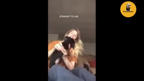 Cat funny moment