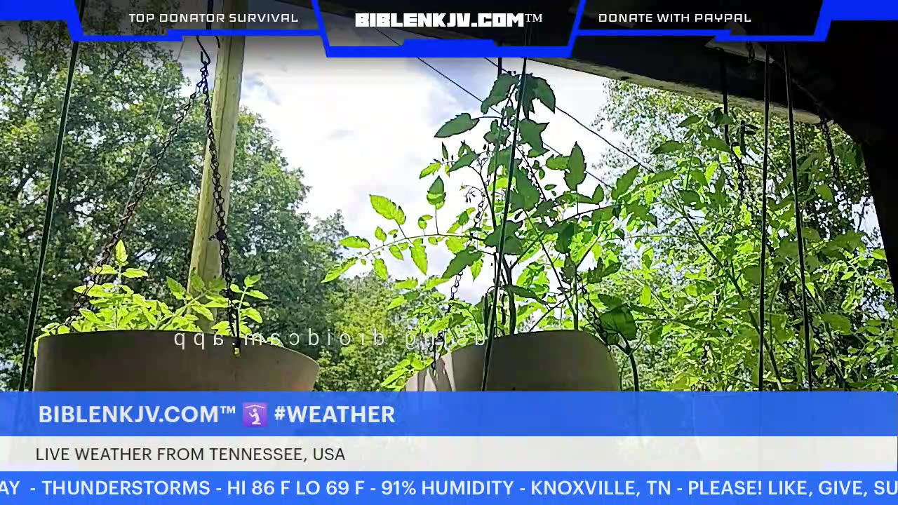 BIBLENKJV.COM™ 🛐 07/15/2025 #LIVE #WEATHER #KNOXVILLE