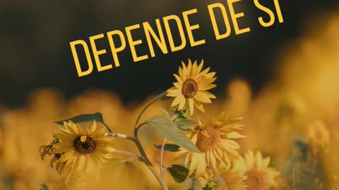cursos online