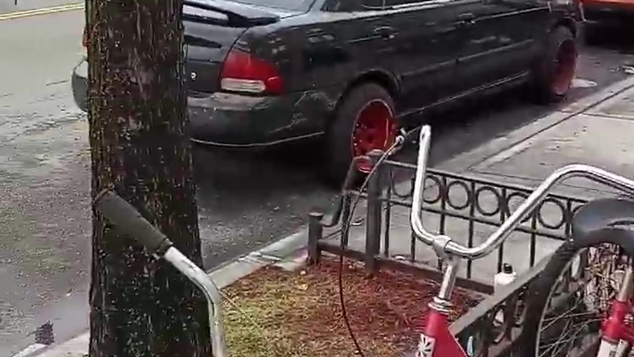 NYC Migrants owning vehicles With NJ and NYC License plates & registration insurance WHAT GIVES !/?