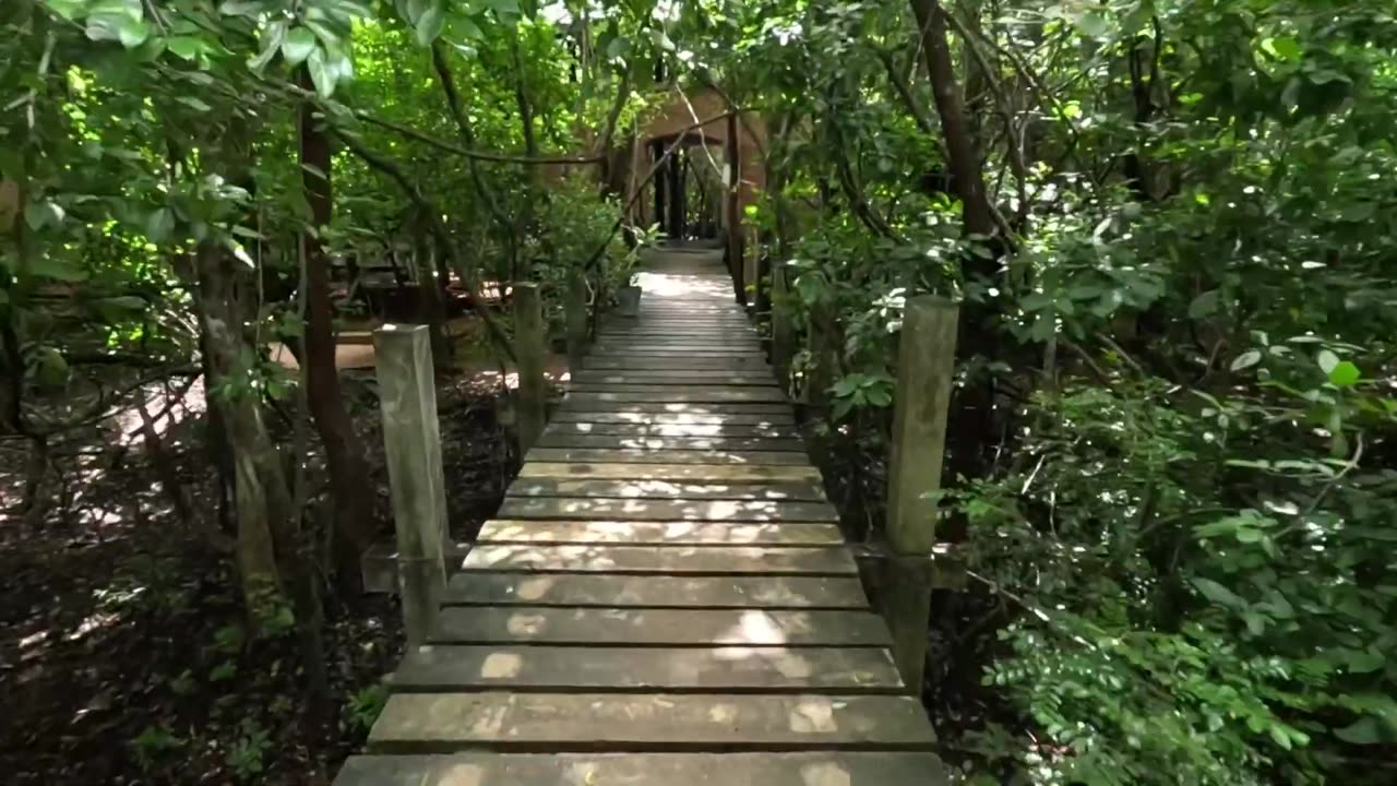 Is Sri Lanka Really a Paradise? My First Timer Experience!