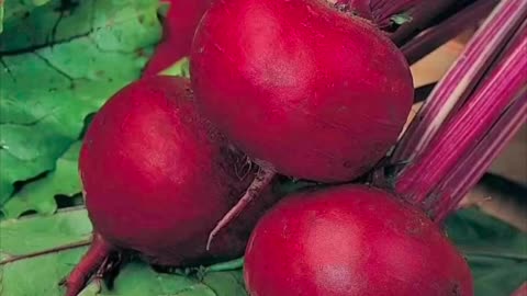 TOP 35 ALKALINE FOODS TO PREVENT CANCERS