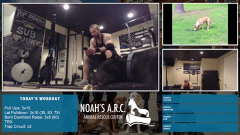 LBL Session w/Remy Pup [Week 16] - Back & Traps // Animal Rescue Stream :)
