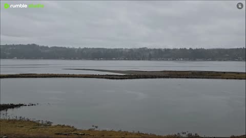 Gray and Peaceful on the water