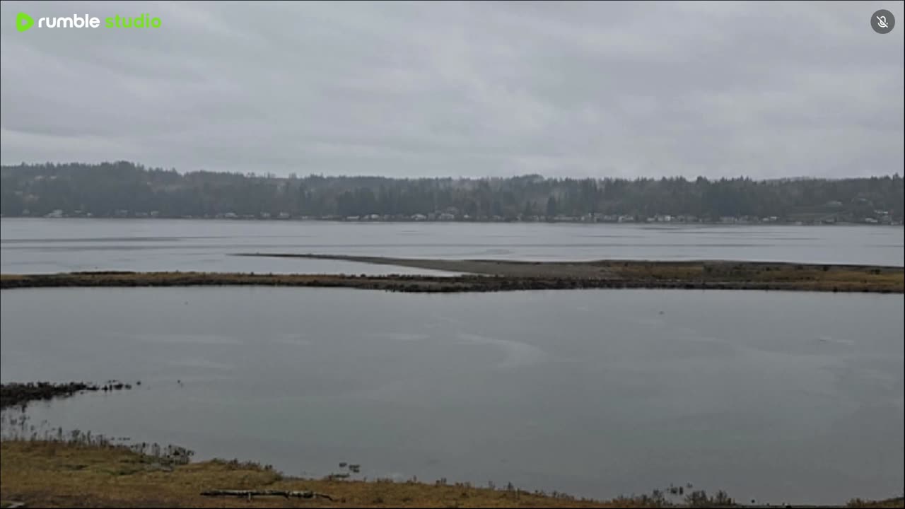 Gray and Peaceful on the water