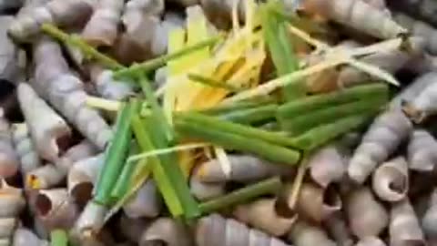 Spicy Sea Food Recipe🥰🤤