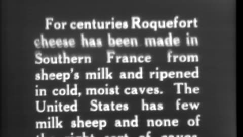 AMERICAN ROQUEFORT CHEESE - AMERICAN ROQUEFORT CHEESE - 33-133