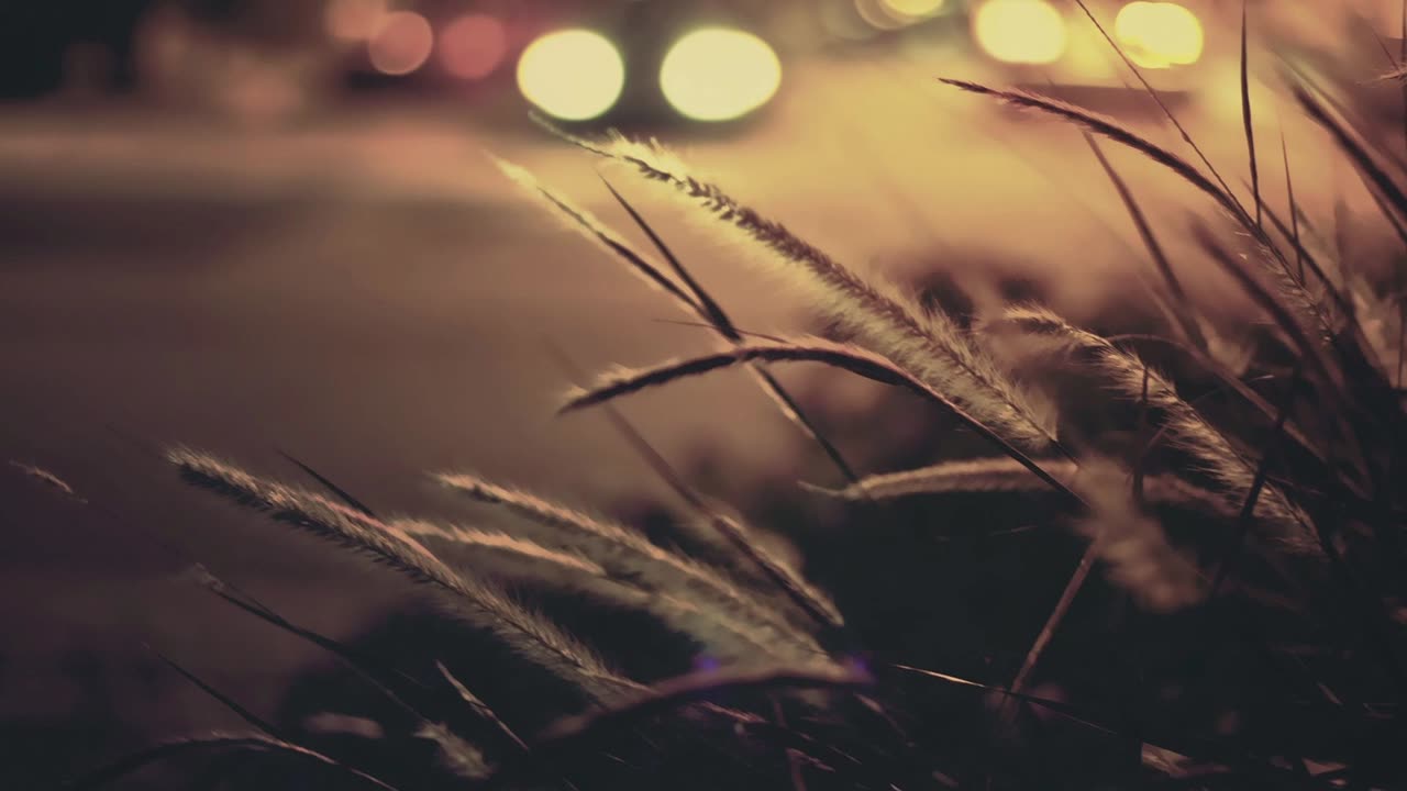 Slowdive - Sleep