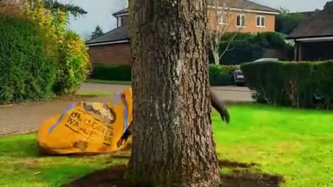 How to make money with a landscape business