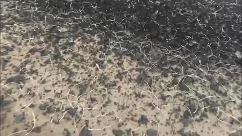 GFT10 Steel Wire Separator for Tire Rubber Blocks!