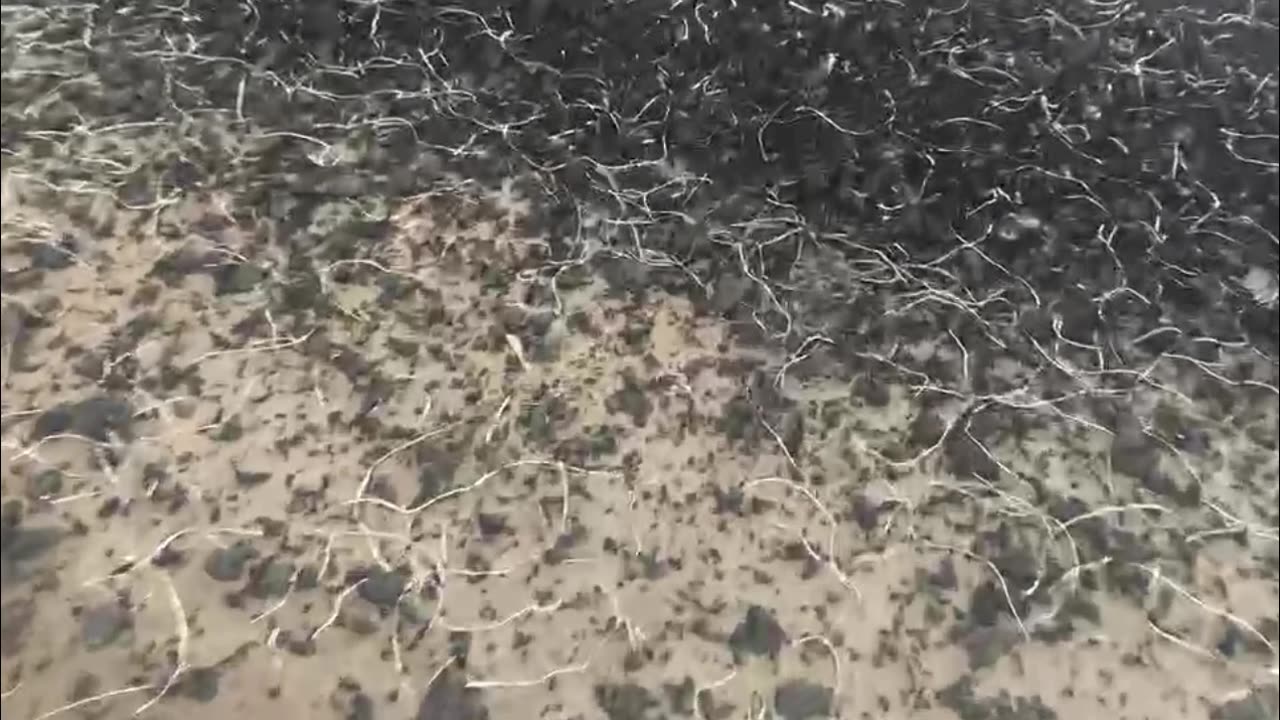 GFT10 Steel Wire Separator for Tire Rubber Blocks!