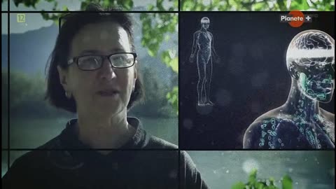 BAKTERIE - MIKROSKOPIJNI WŁADCY ŚWIATA dokument pl