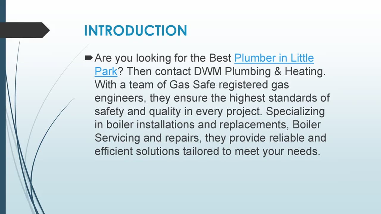 Best Plumber in Little Park