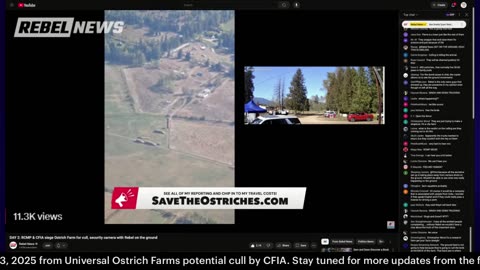Live streaming of Universal Ostrich Farm