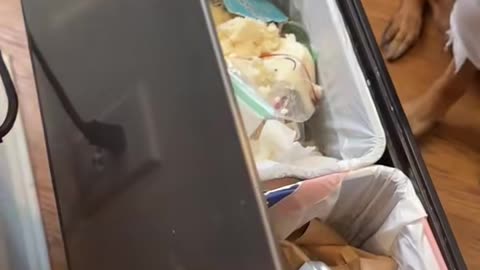 Don't forget to recycle!