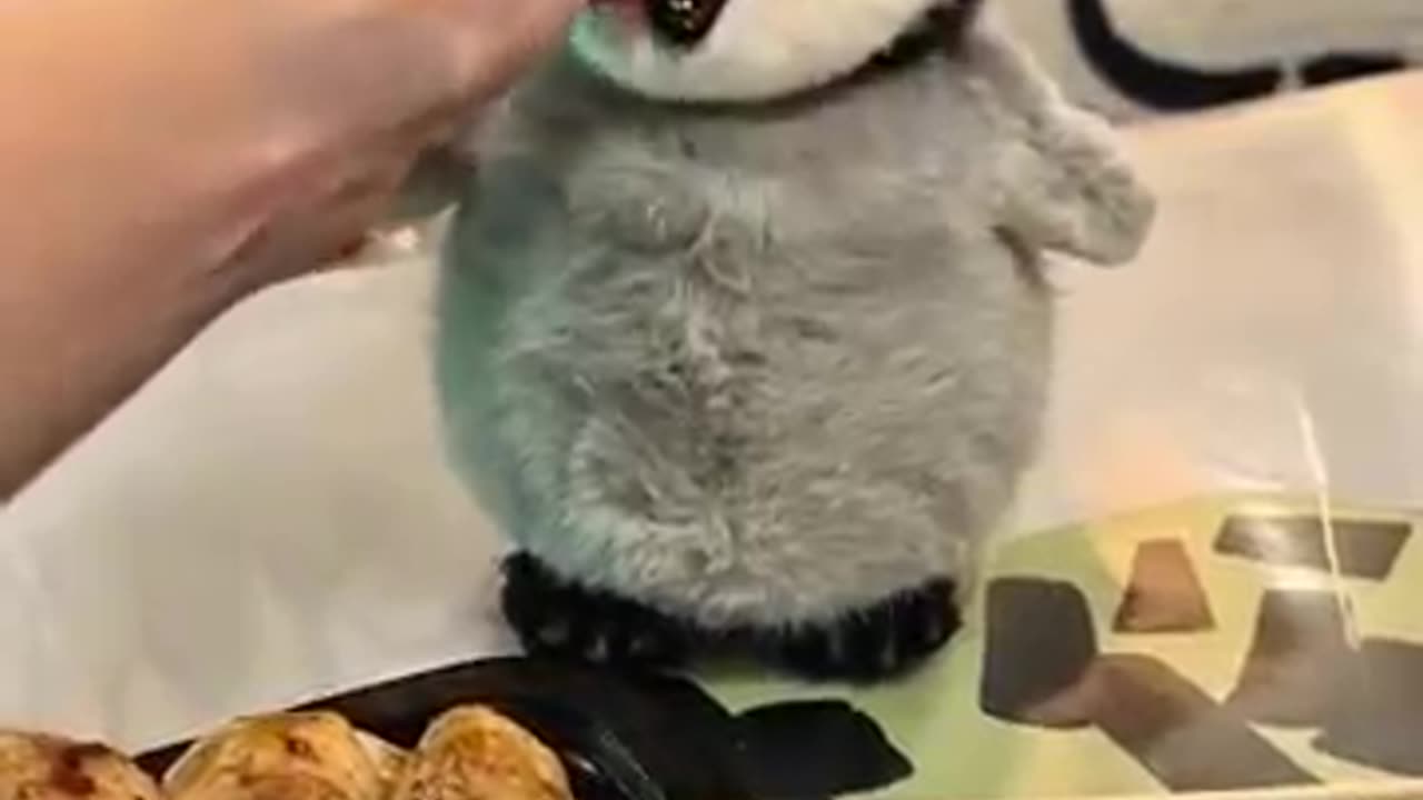 The little penguin wants to eat skewers