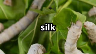 🧬🕸️ Silkworms in Biotechnology – Nature’s Thread, Medicine’s Future! 🐛💉