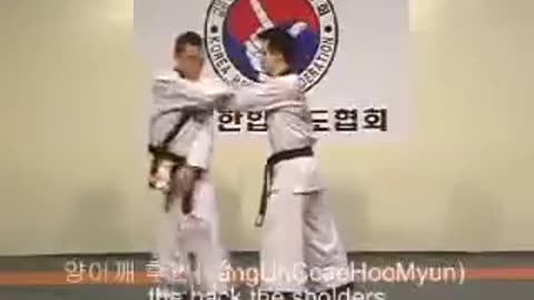 Hapkido