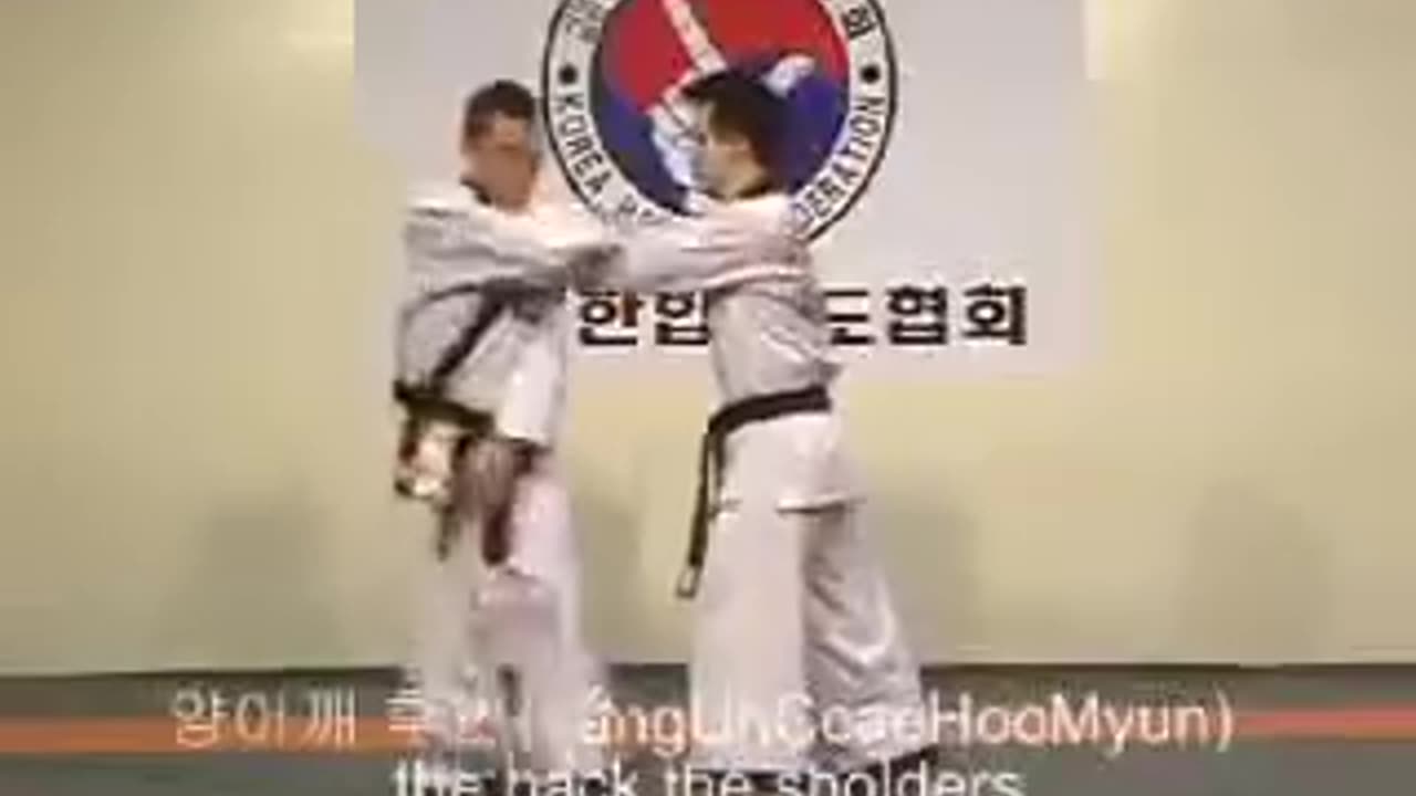 Hapkido