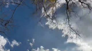 😂🚗 Watch What Happens When He Uses Nitrous While Driving! | FunFM