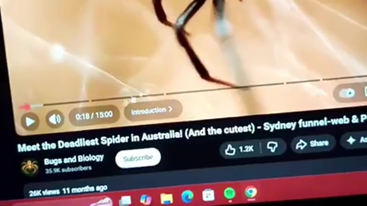 Bill talks food and tech 11/22/25