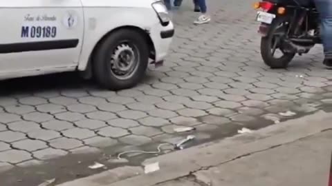 Old School vs Youngster 🤣 Epic Fight!