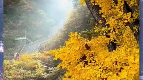 Heaven’s Gate – Where Earth Meets the Divine