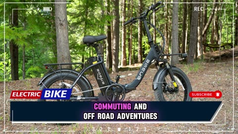 ENGWE L20 Electric Bike 250W Motor 48V 13Ah Battery 20*4.0 Inch Fat Tire E-Bike