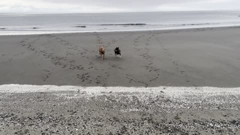 fun at the beach 329084209842