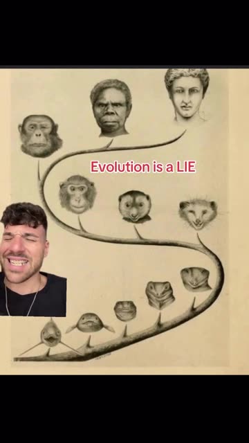 Evolution Is A LIE