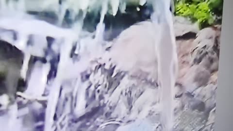 Nature has everything we need