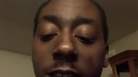 The HIVE NET/BRAIN NET