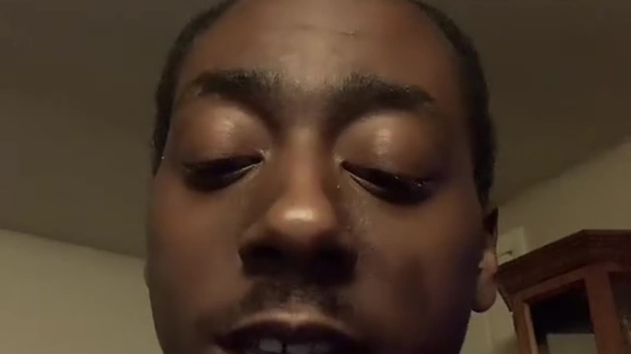 The HIVE NET/BRAIN NET