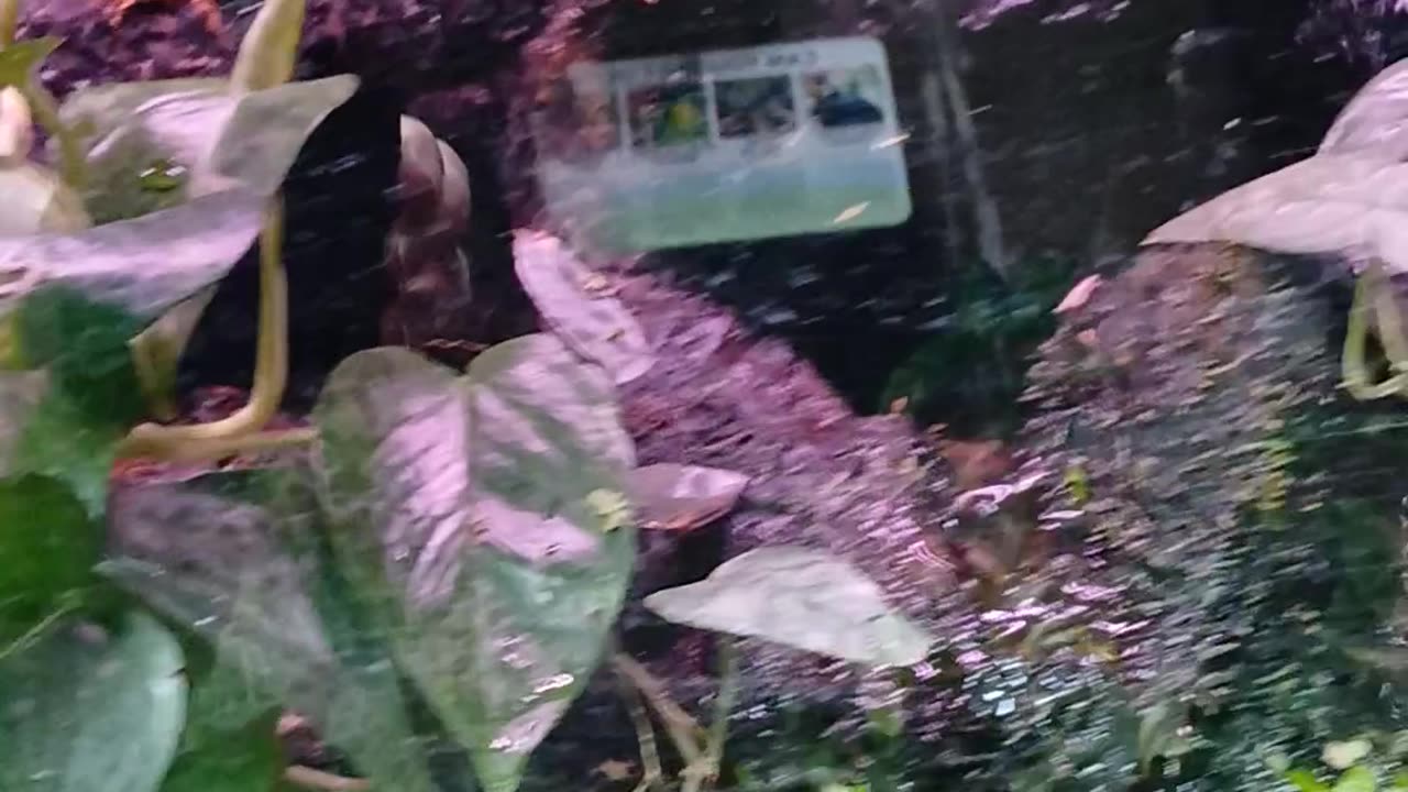 May 2025 Pueblo Zoo Trip Part 1