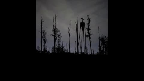 scooby doo and the siren head chase music