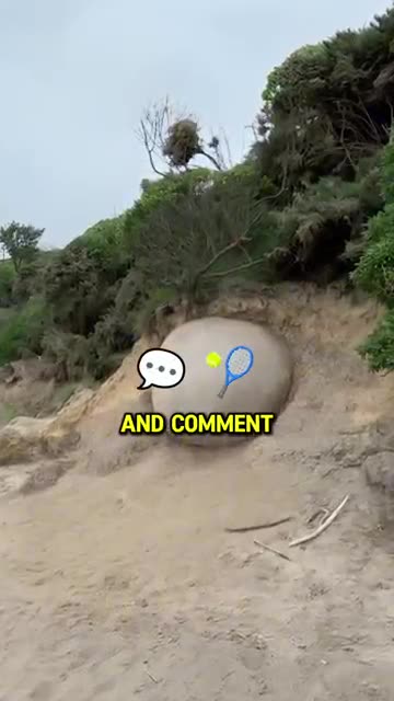 Farmer Stunned To Find Weird Ball In His Field